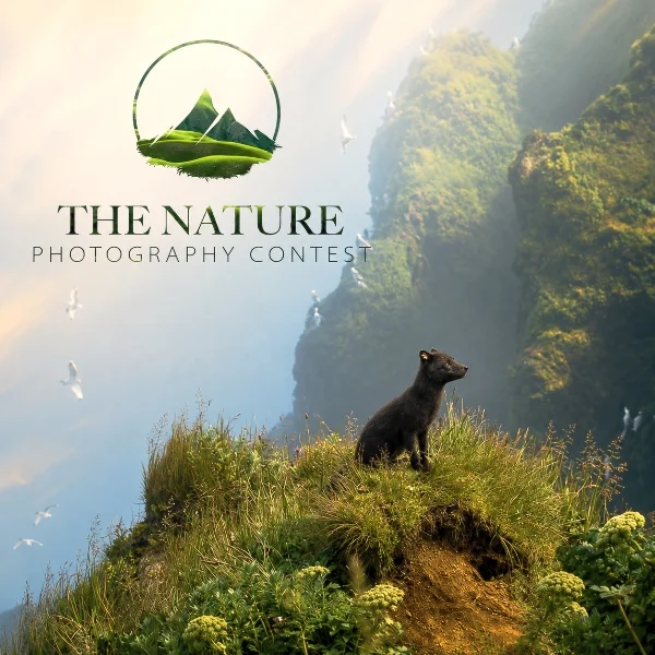 The Nature Photography Contest 2026 | Graphic Competitions The Nature Photography Contest 2026 | Graphic Competitions