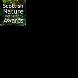 Scottish Nature Photography Awards | Graphic Competitions