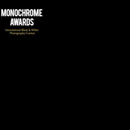 Monochrome Photography Awards 2015 | Graphic Competitions