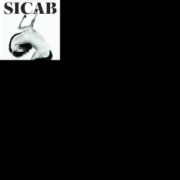 SICAB 2017 International Poster Contest | Graphic Competitions