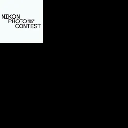 Nikon Photo Contest Call for Entries | Graphic Competitions
