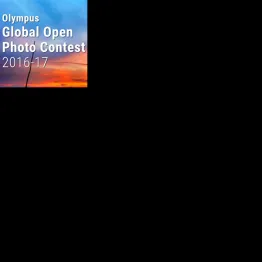 Olympus Global Open Photo Contest 2016-17 | Graphic Competitions