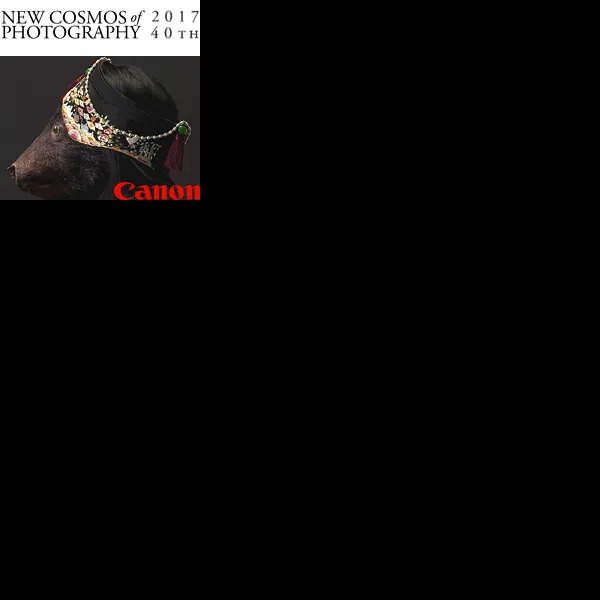 New Cosmos Of Photography 2017 | Graphic Competitions