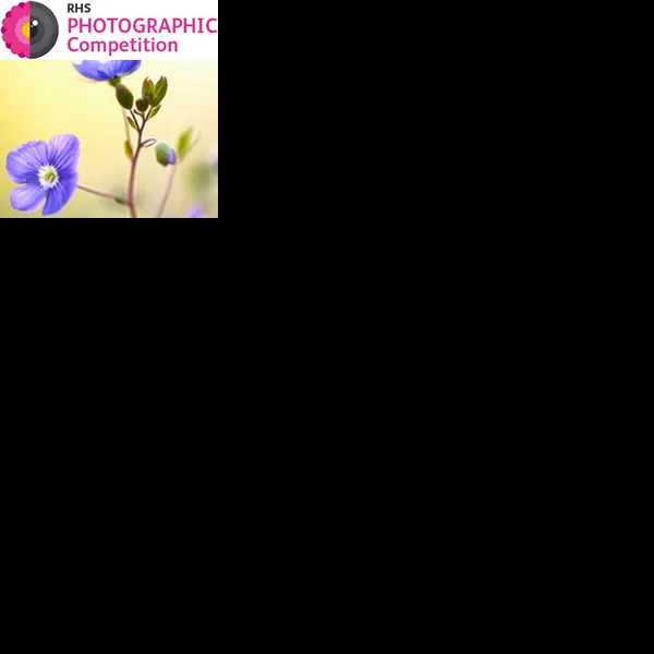 RHS Photographic Competition 2018 | Graphic Competitions