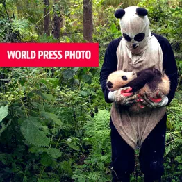 World Press Photo Contest 2018 | Graphic Competitions