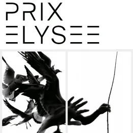 Prix ElysÃ©e 2018-2020 | Graphic Competitions