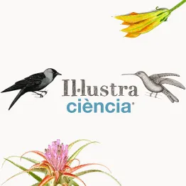 International Award On Scientific Illustration 2019 | Graphic Competitions