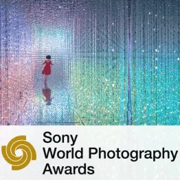 Sony World Photography Awards 2019 | Graphic Competitions