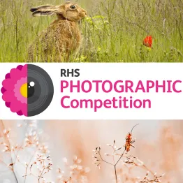 RHS Photographic Competition 2021 | Graphic Competitions