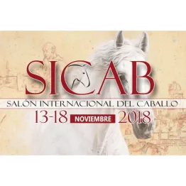 SICAB 2019 International Poster Contest | Graphic Competitions