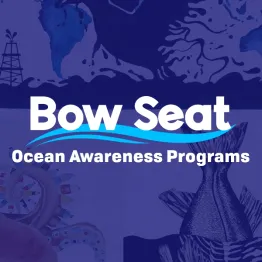 Ocean Awareness Student Art Contest 2019 | Graphic Competitions