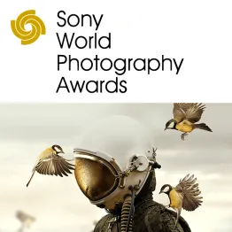 Sony World Photography Awards 2020 | Graphic Competitions