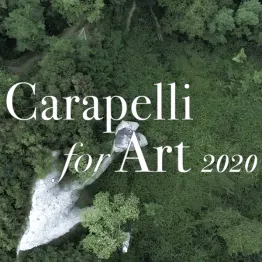 Carapelli For Art 2020 Visual Arts Prize | Graphic Competitions