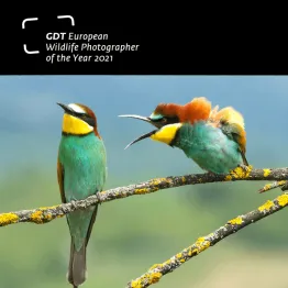 European Wildlife Photographer Of The Year 2021 | Graphic Competitions