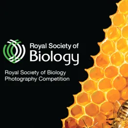 Royal Society Of Biology Photography Competition 2022 | Graphic Competitions