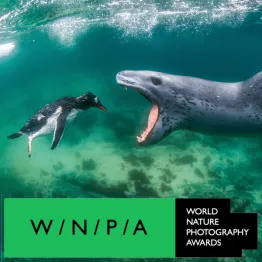 World Nature Photography Awards 2022 | Graphic Competitions