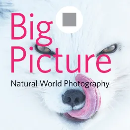 2023 BigPicture Natural World Photography Competition | Graphic Competitions