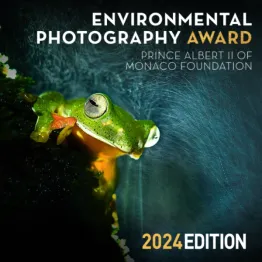 Environmental Photography Award 2024 | Graphic Competitions