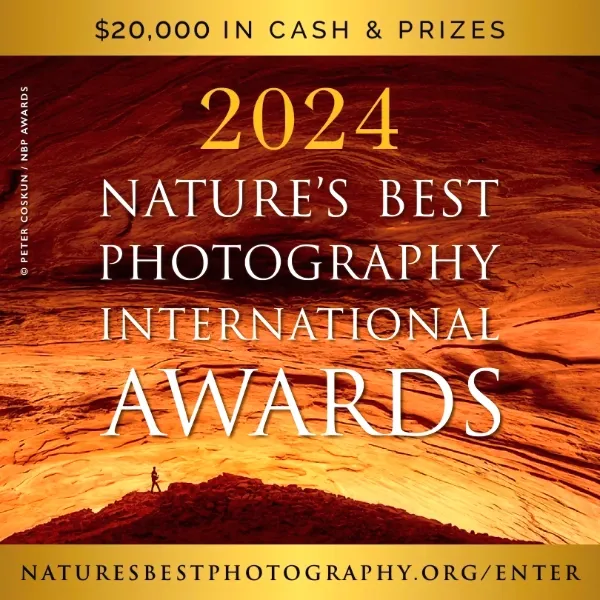 2024 Nature’s Best Photography International Awards Graphic Competitions