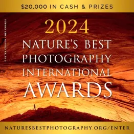 2024 Nature’s Best Photography International Awards | Graphic Competitions