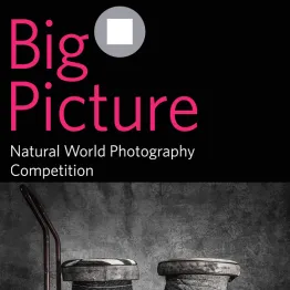 BigPicture Natural World Photography Competition 2019 | Graphic Competitions