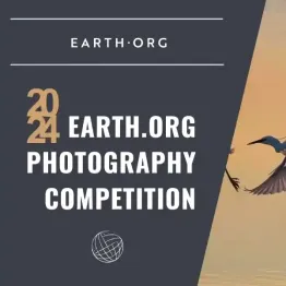 Earth.Org Photography Competition 2024 | Graphic Competitions