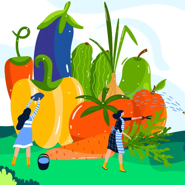 Jiaxing Rainbow Vegetable Garden Cartoon Competition | Graphic Competitions