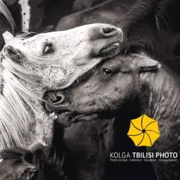 Kolga Tbilisi Photo Award 2019 | Graphic Competitions