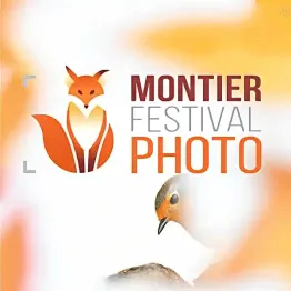 Montier Wildlife Photo Competition 2023 | Graphic Competitions