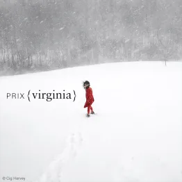 Prix {virginia} International Photography Prize For Women | Graphic Competitions