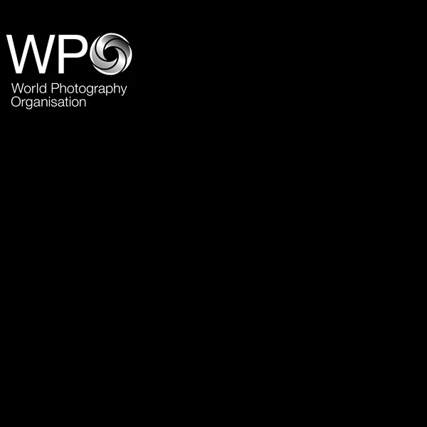 Sony World Photography Awards 2014 | Graphic Competitions