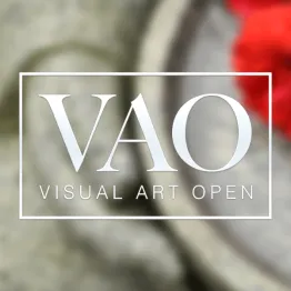 Visual Arts Open Prize 2021 | Graphic Competitions
