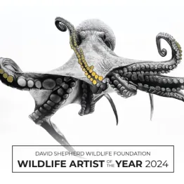 Wildlife Artist Of The Year 2024 | Graphic Competitions