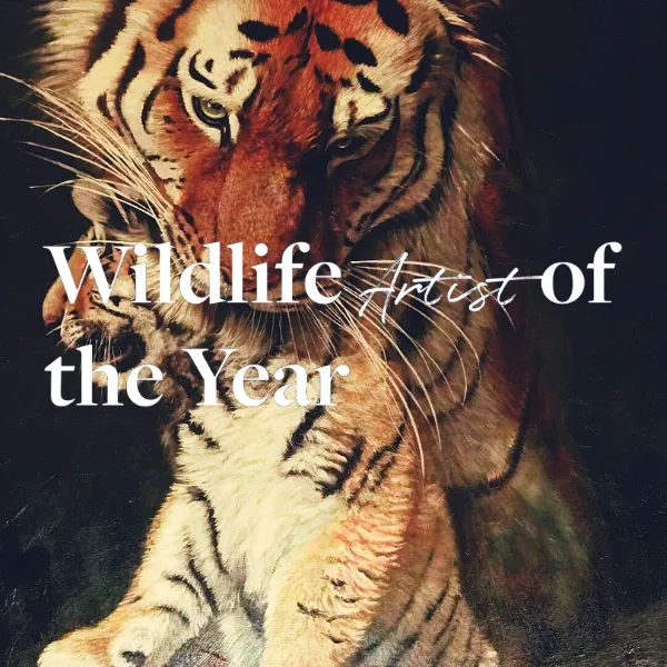 Wildlife Artist Of The Year 2026 | Graphic Competitions