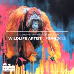 Wildlife Artist Of The Year Competition 2023 | Graphic Competitions
