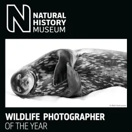 Wildlife Photographer Of The Year 2022 | Graphic Competitions